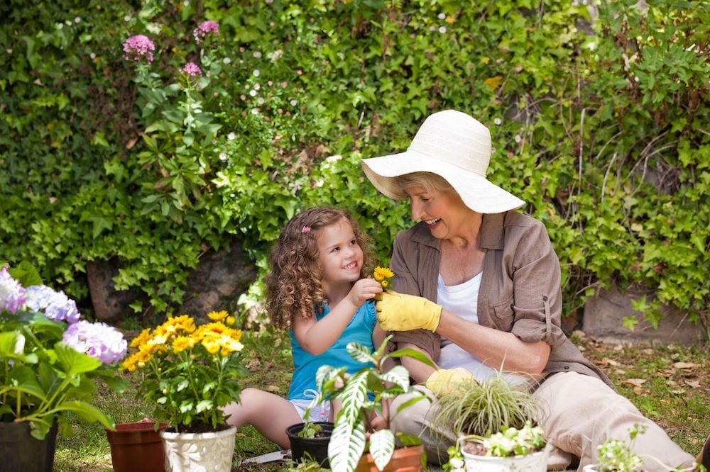 Grandmother and granddaughter in a garden|Grandmother and granddaughter in a garden|Graphic of stinging insects